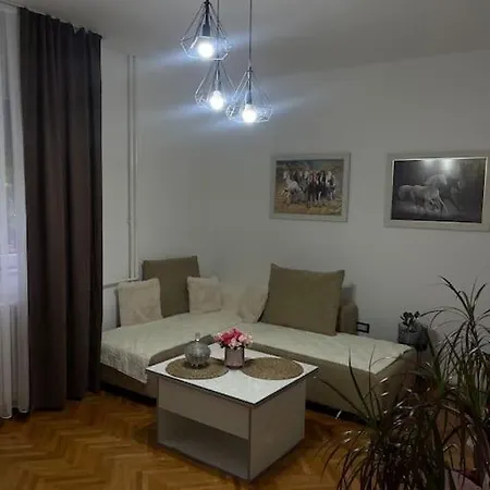 Buddy Apartment